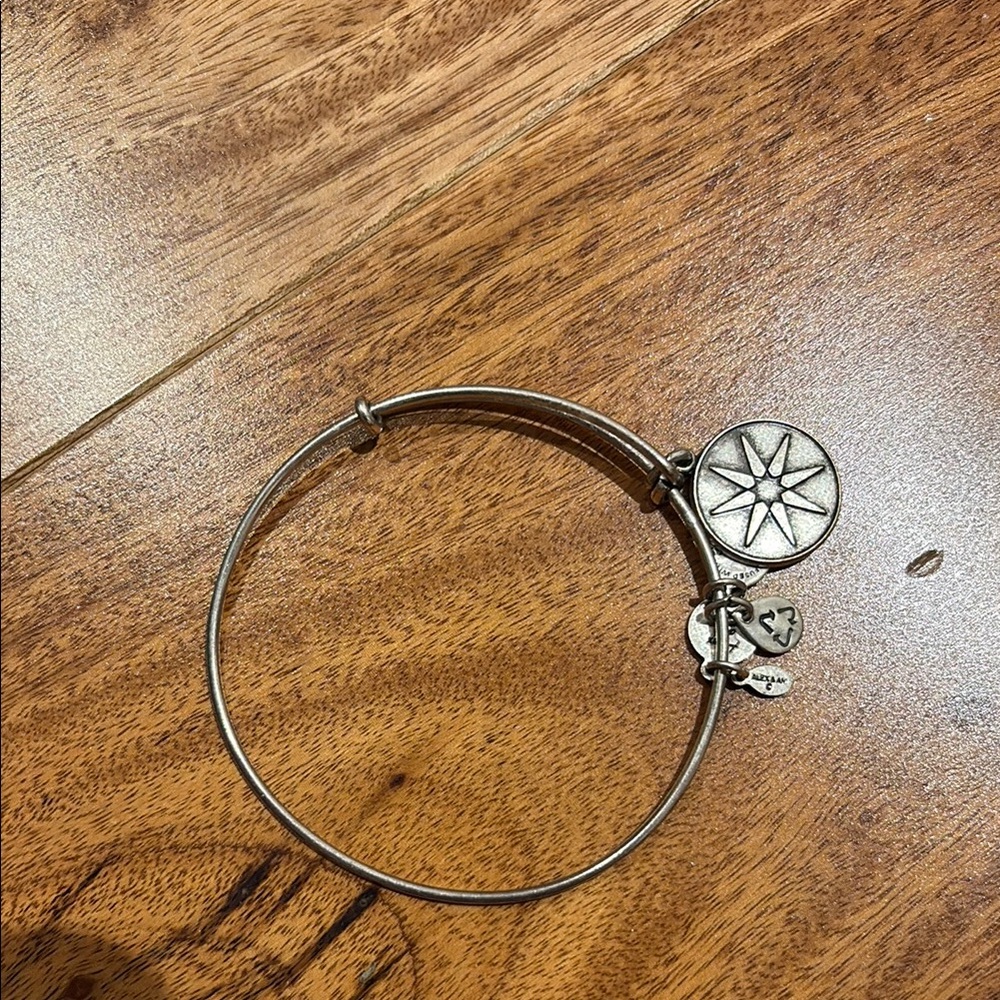 Silver Charm Alex and Ani Energy Bangle Bracelet
